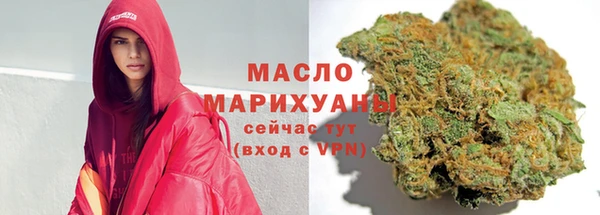СК Алексин