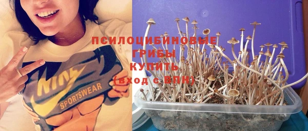 первитин Абаза