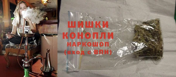 spice Алзамай