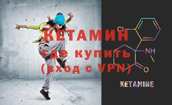 сатива Абинск
