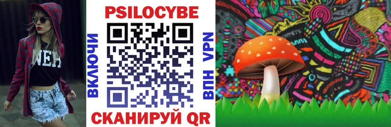 продажа наркотиков  Кирс  Галлюциногенные грибы MAGIC MUSHROOMS 